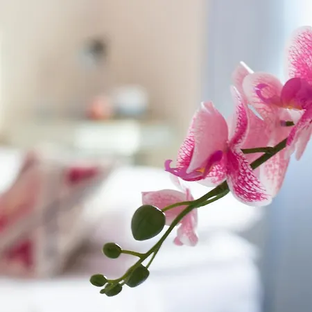 Alba Chiara Apartmán Rapallo